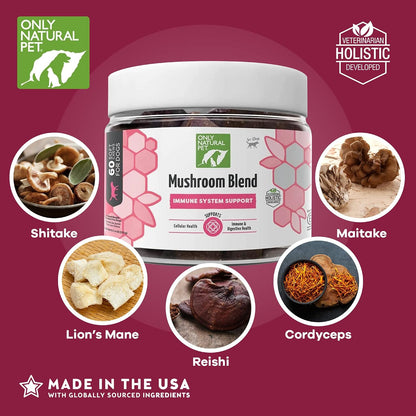 Only Natural Pet Mezcla de Hongos para Perros - Apoyo Inmunológico, Digestivo y Celular - 60 Gomitas Suaves Sabor Bacon – Image 4