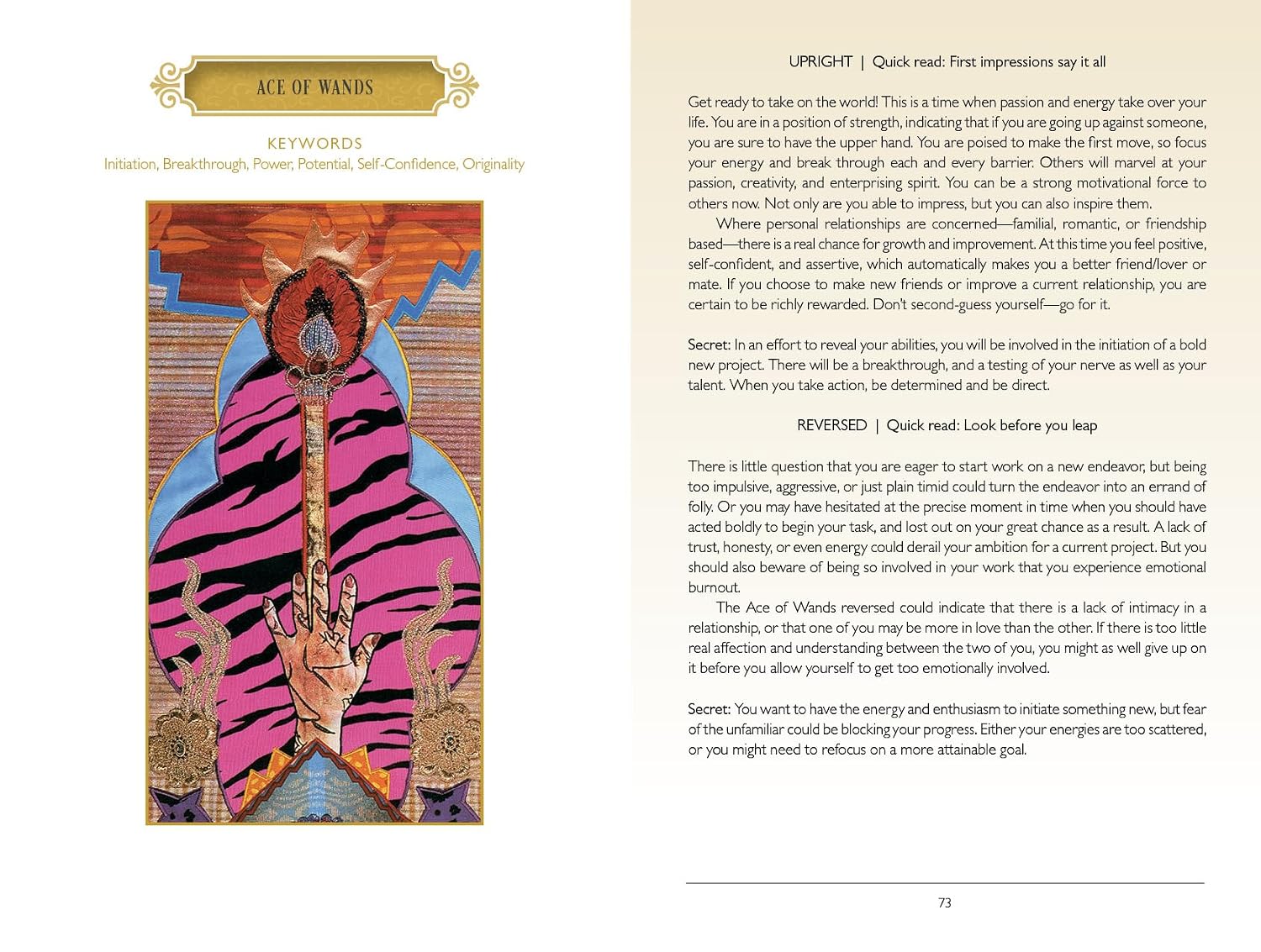 The Zerner/Farber Tarot: Tarot Kit with 78 Cards and Guidebook