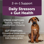 ThunderBites Calm + Probiotics para Perros - Masticables Suaves con Probióticos, Prebióticos y Postbióticos + Apoyo para el Estrés Diario, 90 unidades