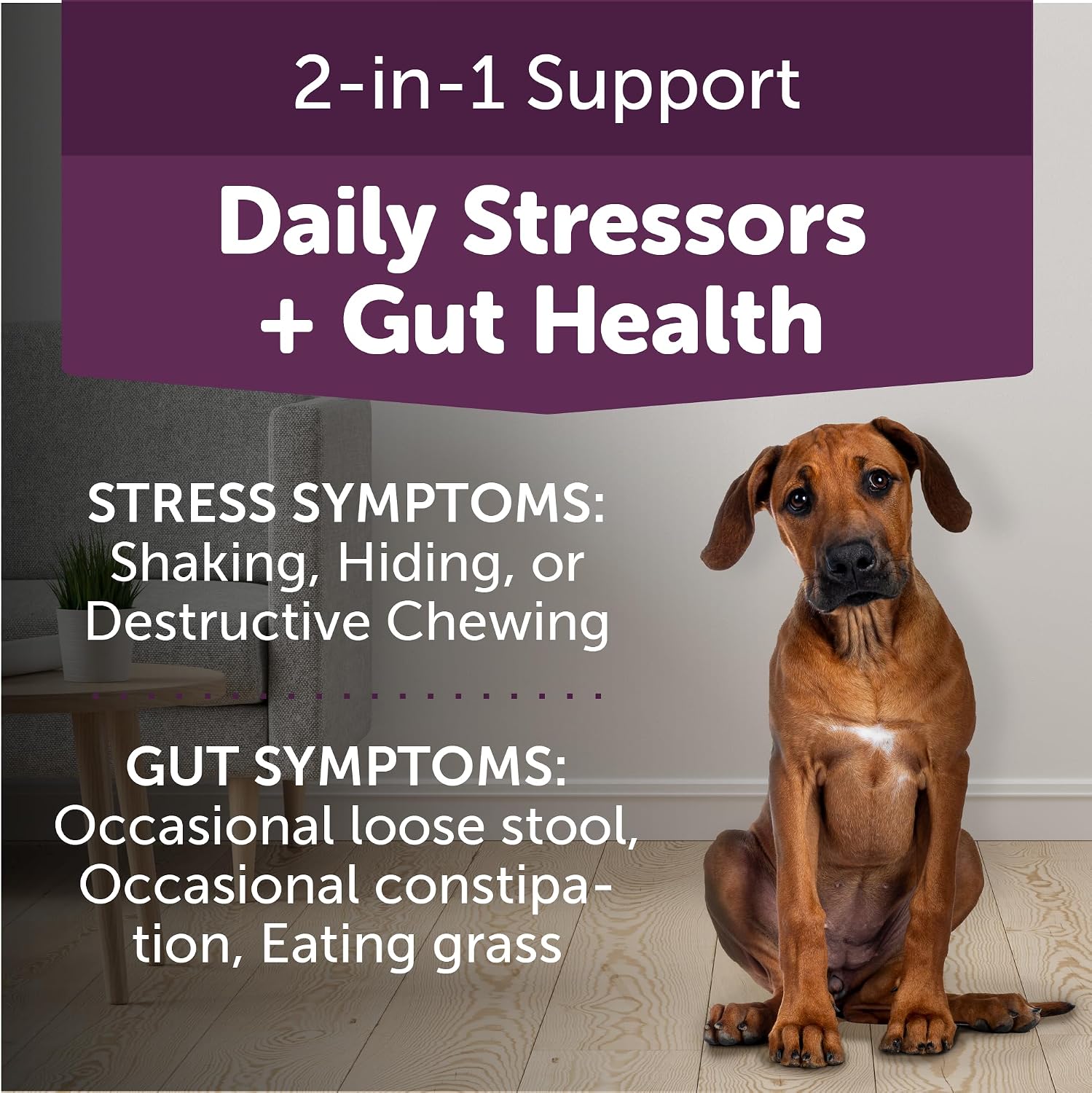 ThunderBites Calm + Probiotics para Perros - Masticables Suaves con Probióticos, Prebióticos y Postbióticos + Apoyo para el Estrés Diario, 90 unidades