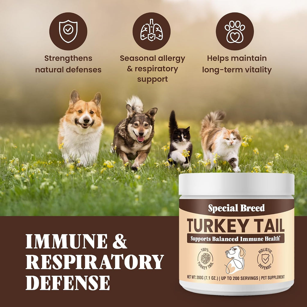Special Breed Cola de Pavo Orgánica para Perros y Gatos – 200 cápsulas