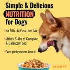 Azestfor Suplemento Multivitamínico para Perros – Dieta Casera – 16 oz (454 g) Polvo