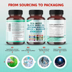 PEAKPURY Sea Moss Black Seed Oil Ashwagandha Ginger Burdock Bladderwrack - Apoyo Inmunitario