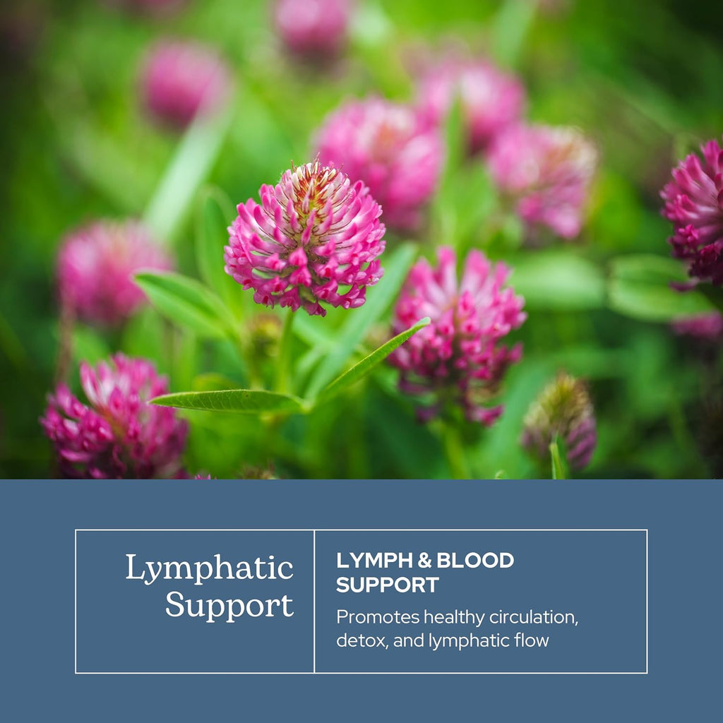 Eclectic Herb - Lymph & Blood Cleanse Cápsulas | Apoyo Linfático y Circulatorio | 45 cápsulas (285 mg)