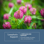Eclectic Herb - Lymph & Blood Cleanse Cápsulas | Apoyo Linfático y Circulatorio | 45 cápsulas (285 mg)