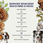 Clarity – Suplemento de Setas para el Apoyo Cognitivo en Perros con Adaptógenos