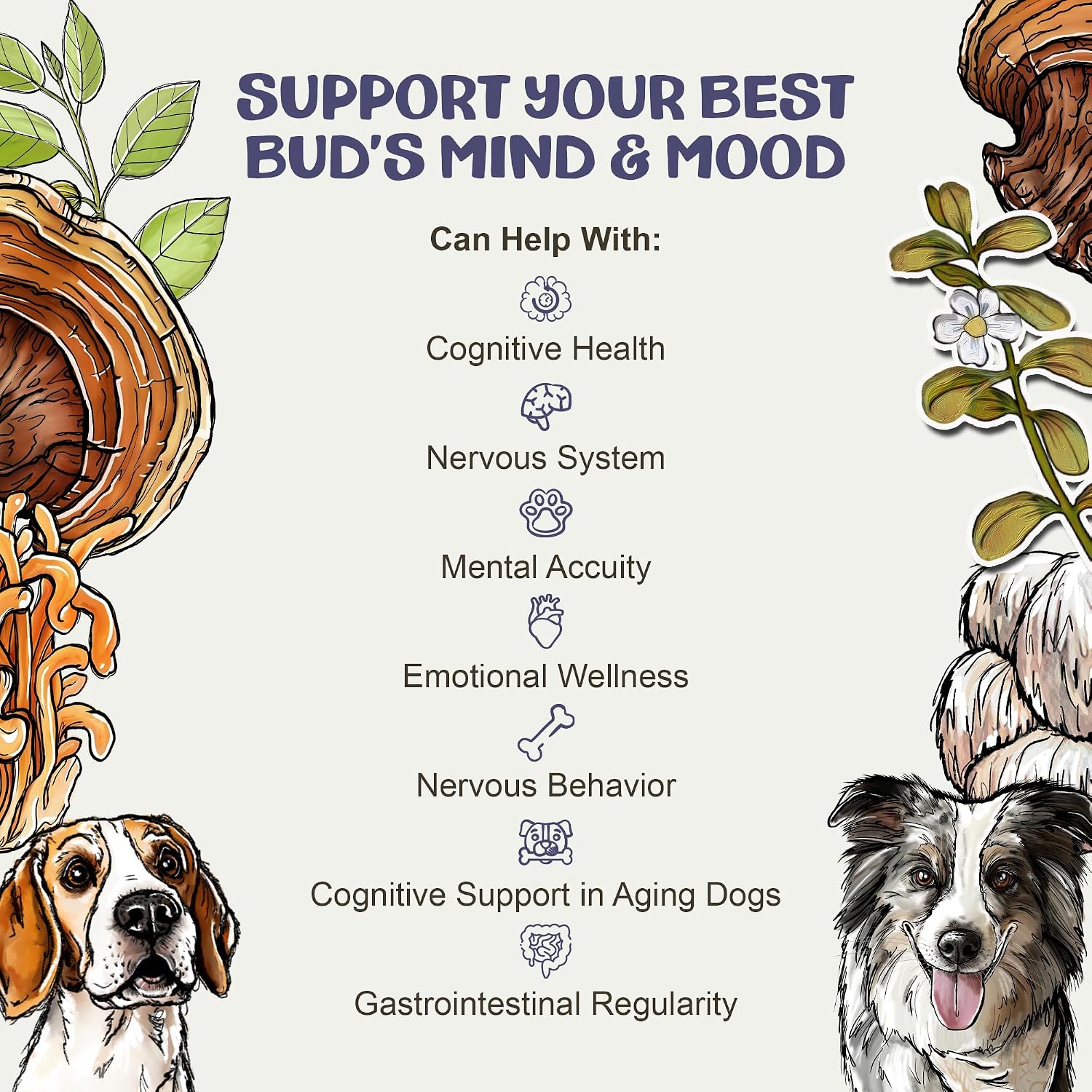 Clarity – Suplemento de Setas para el Apoyo Cognitivo en Perros con Adaptógenos