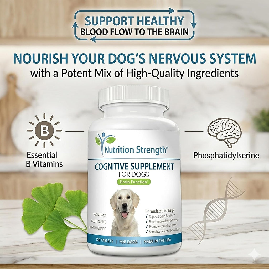 Nutrition Strength Apoyo Cognitivo para Perros – 120 Comprimidos Masticables para la Salud Cerebral y Mental