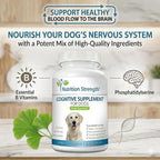 Nutrition Strength Apoyo Cognitivo para Perros – 120 Comprimidos Masticables para la Salud Cerebral y Mental