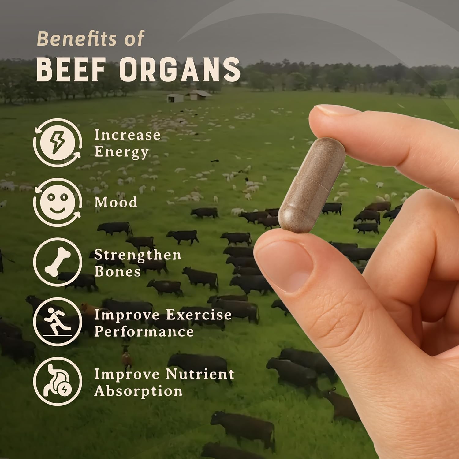 HEART & SOIL – Órganos de Res 100% Alimentados con Pasto – 3000mg – 180 Cápsulas