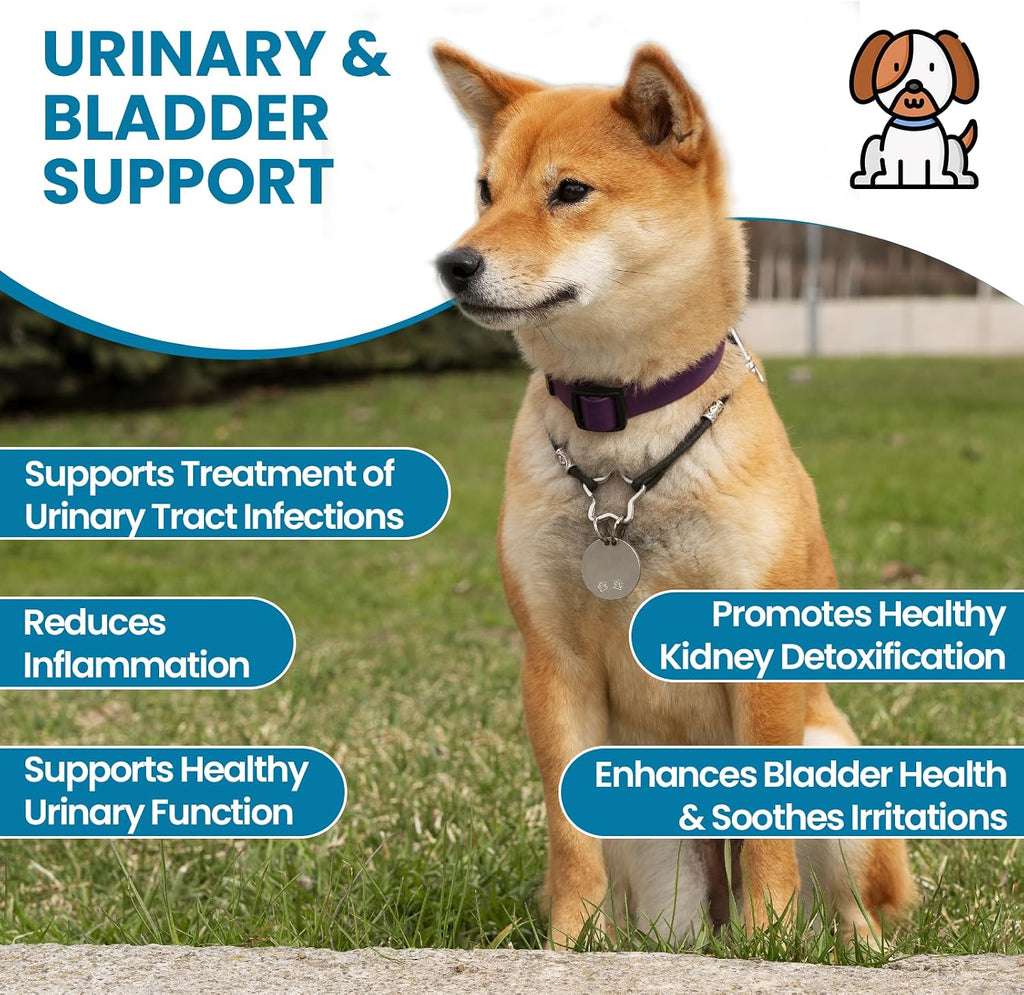 Replenish Urinary Tract Chews - Masticables para la salud urinaria de perros (60 unidades)