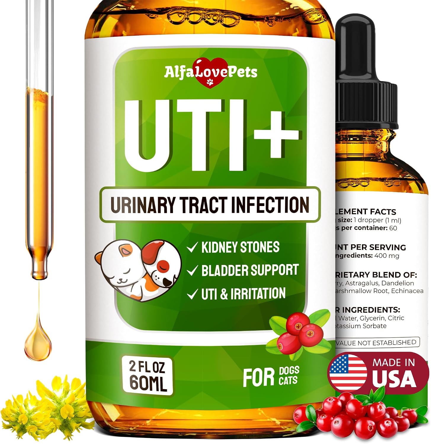 Suplemento Urinario para Perros y Gatos – Cuidado de Riñones y Vejiga con Arándano – 60 ml