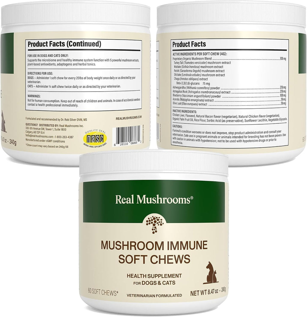 Real Mushroom Immune Pet Chews – Masticables de hongos para perros y gatos (60 uds)