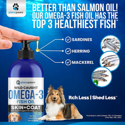 Aceite de Pescado Omega 3 para Perros - – Cerebro y función cognitiva: El DHA es un componente estructural clave – Image 4