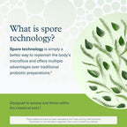 Youtheory Spore Probiotic - Probiótico con Esporas - 6 mil millones UFC - Salud Intestinal - 60 Cápsulas Vegetales