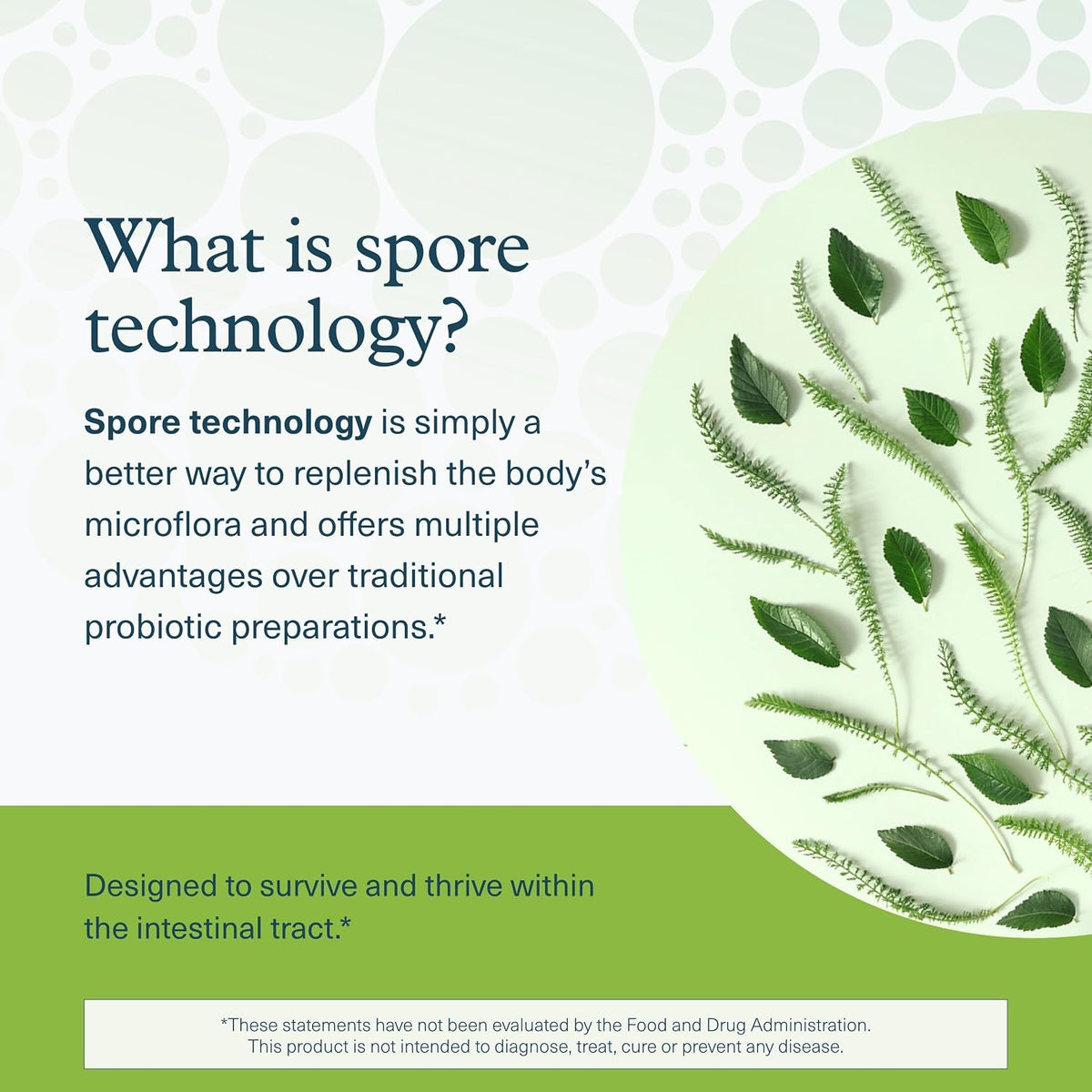 Youtheory Spore Probiotic - Probiótico con Esporas - 6 mil millones UFC - Salud Intestinal - 60 Cápsulas Vegetales – Image 4