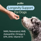 Longevity+ Suplemento para Perros Pequeños - Vitaminas y Suplementos para Articulaciones, Músculos, Inmunidad y Cognición - Formulado por Veterinarios - 30 Días