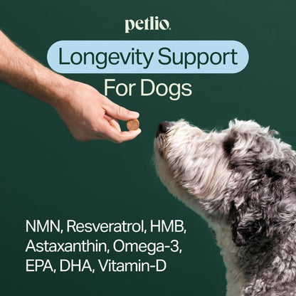 Longevity+ Suplemento para Perros Pequeños - – Movilidad y masa muscular: Con HMB, este suplemento ayuda a – Image 2