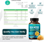 Premium Sea Moss with Ashwagandha, Burdock Bladderwrack, Black Seed for Immune System, Skin, Digestion & Energy (150 Count)