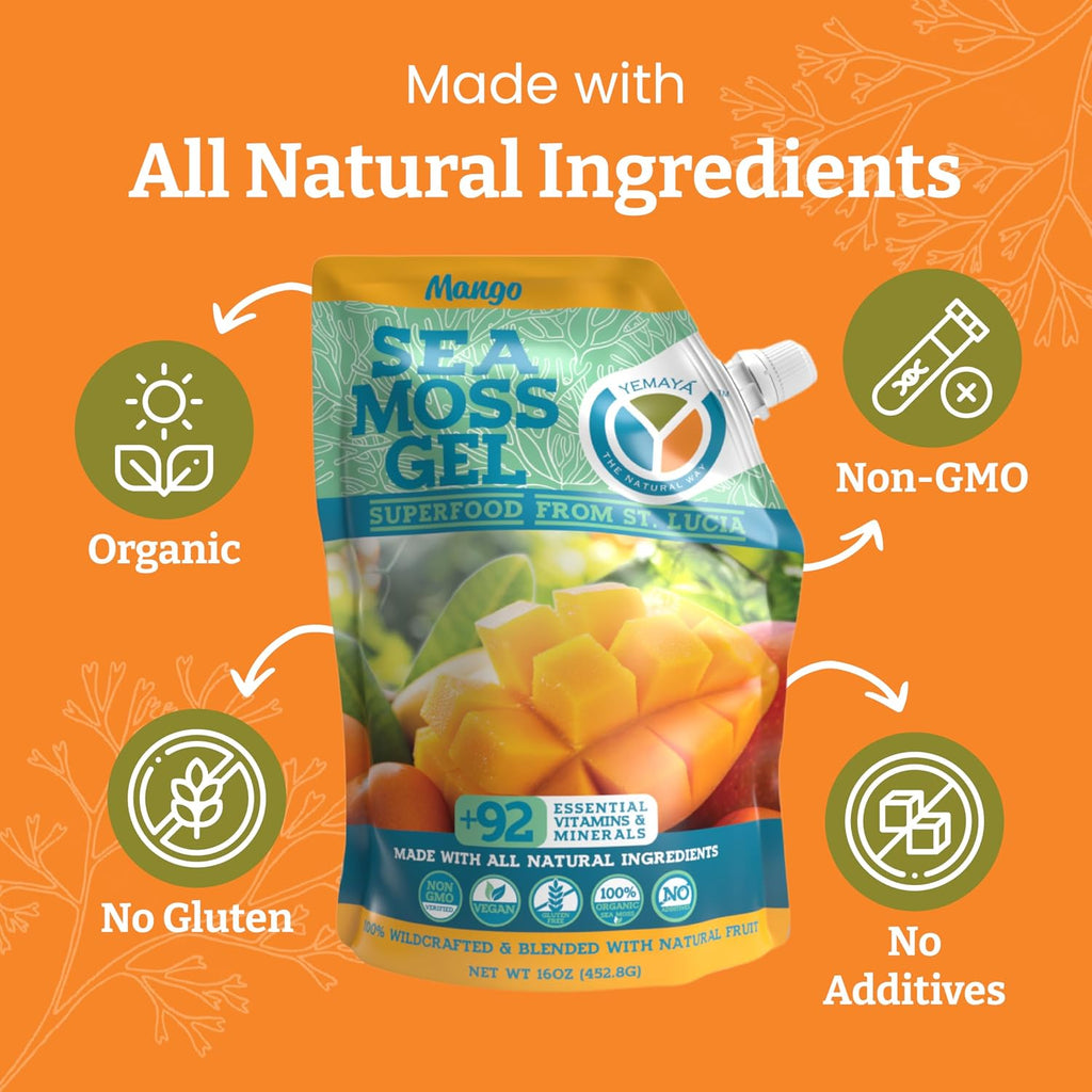Yemayá Organic Sea Moss Gel Mango | Wildcrafted Seamoss Gel Enhanced with Real Fruit, Energy, Digestion, Hair, Skin & Nails | Mango Flavor, 16 oz