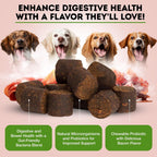 Only Natural Pet Probiótico para Perros y Gatos - Complemento Digestivo con Enzimas, 60 Masticables Blandos