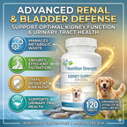 Nutrition Strength Kidney Support for Dogs - Apoyo Renal, Vejiga y Tracto Urinario, con Arándano Rojo Orgánico y Astrágalo, 120 Comprimidos Masticables