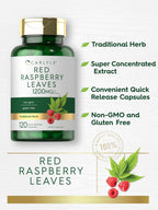 Carlyle Cápsulas de Hoja de Frambuesa Roja - 120 Cápsulas, Extracto Herbal Tradicional, Fórmula No-GMO y Sin Gluten