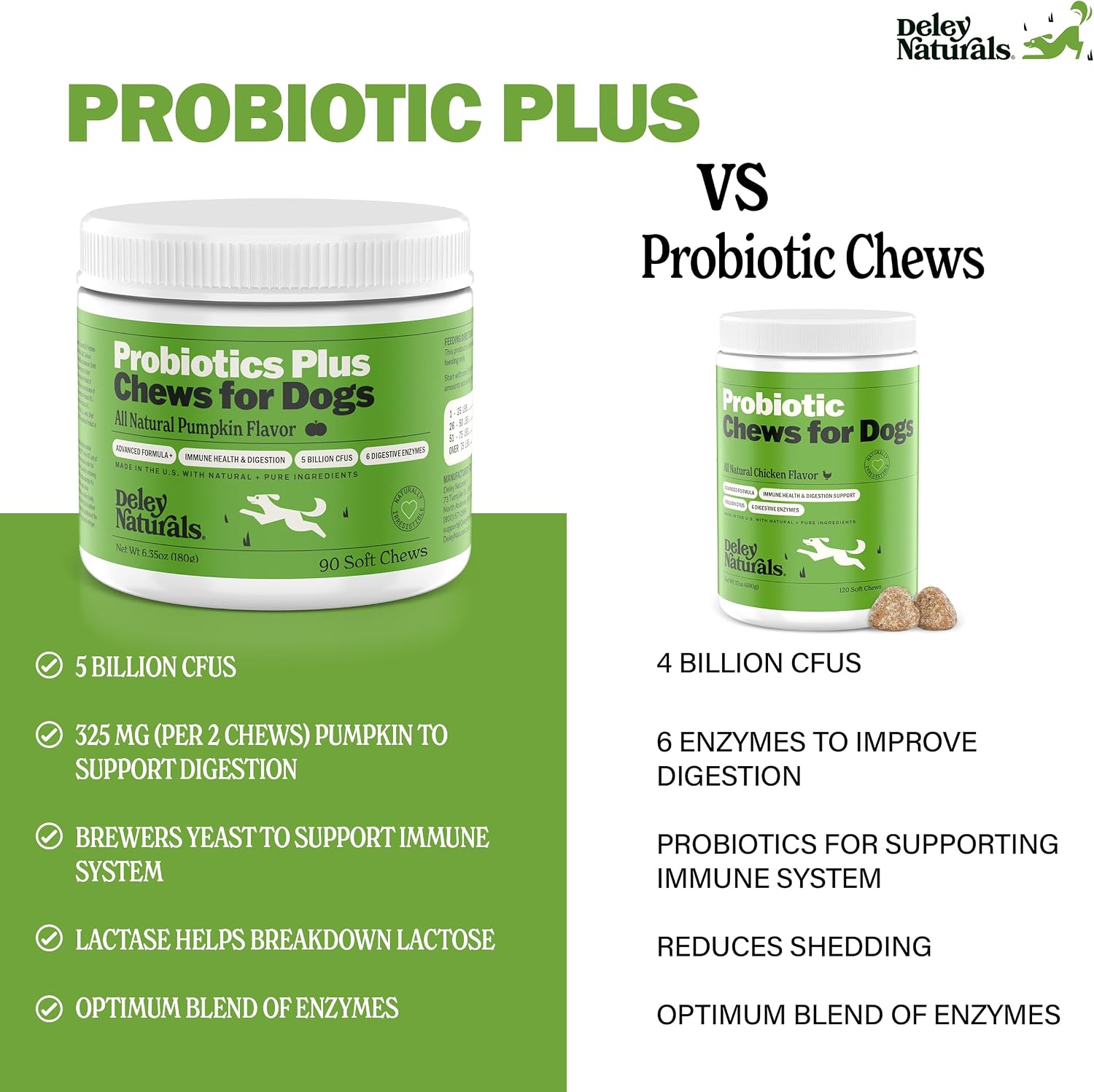 Deley Naturals Probióticos Plus Masticables para Perros - 5 Mil Millones UFC con Enzimas Digestivas - Sabor a Calabaza - 90 Unidades