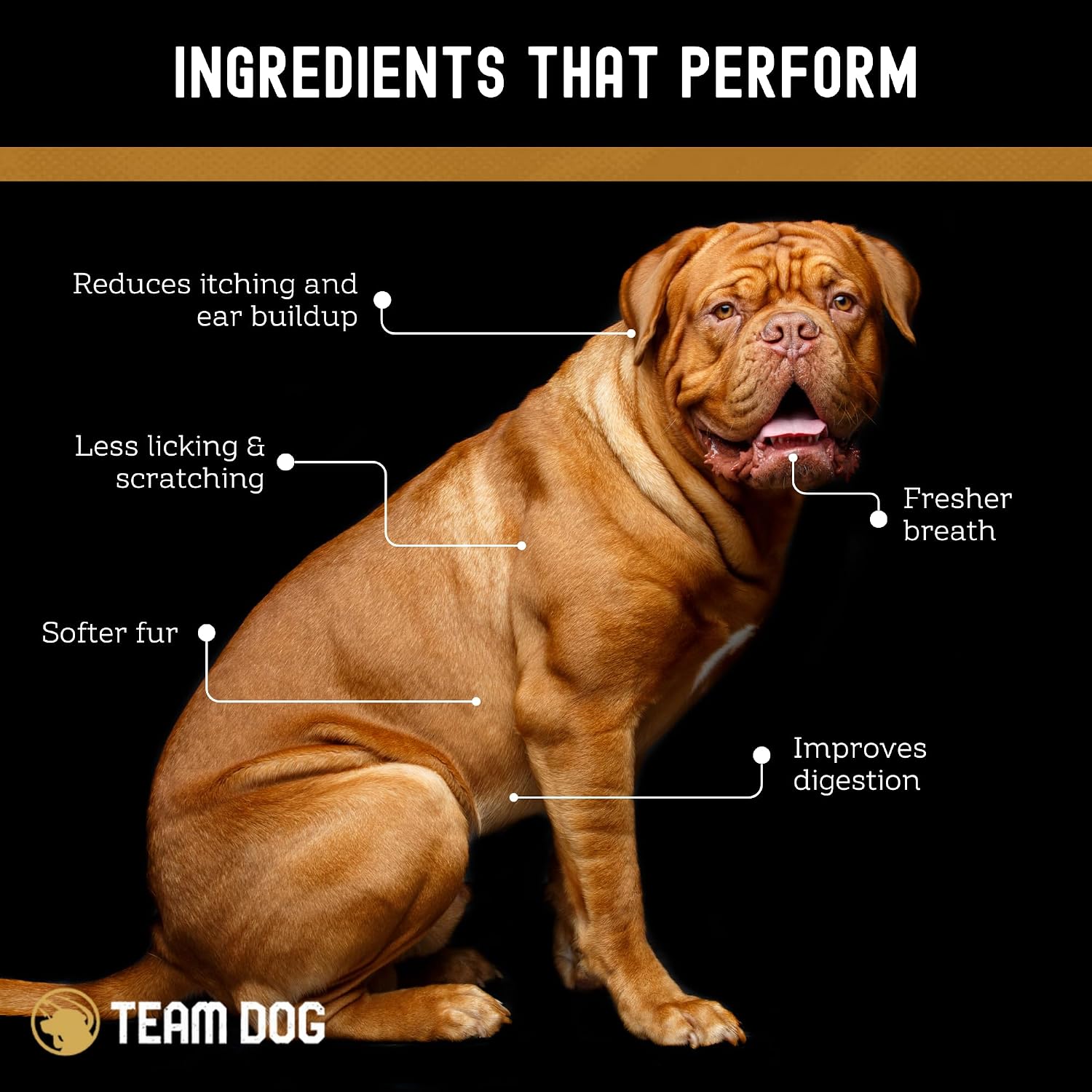 Team Dog Probióticos para Perros - Masticables Digestivos con Enzimas - 120 unidades