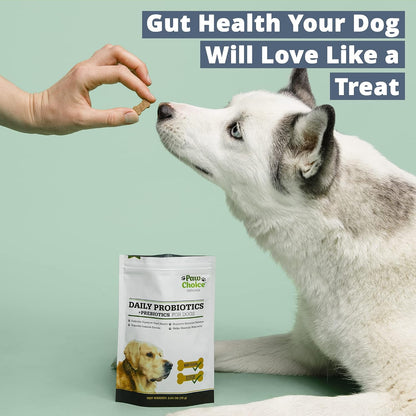 Paw Choice Probióticos para Perros con – Promover la regularidad: Pueden ayudar a mantener un tránsito intestinal – Image 4