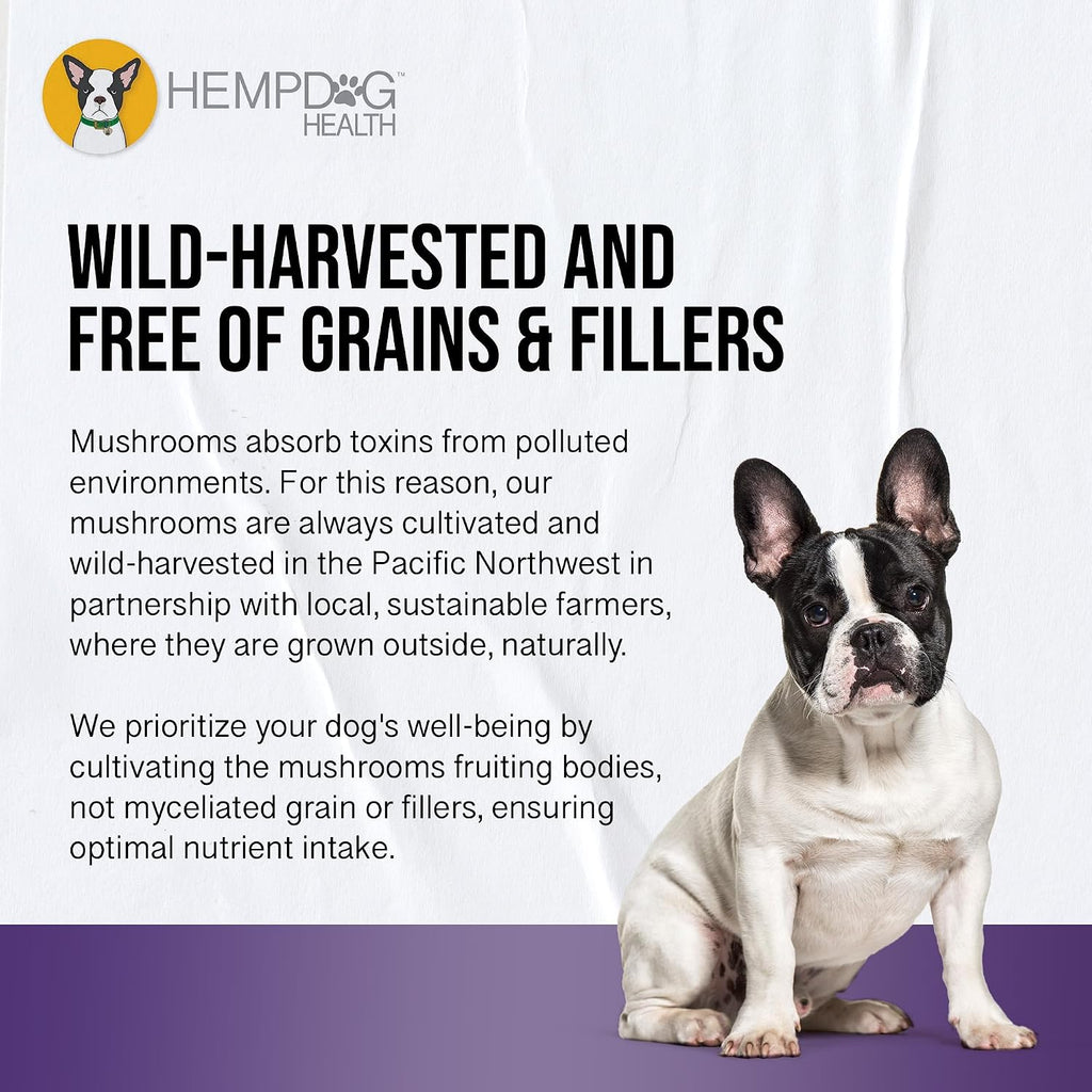 MycoDog Clarity - Complemento para la función cognitiva en perros mayores