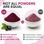 Polvo de Aronia Natural - Bayas de Chokeberry Negro (453g)