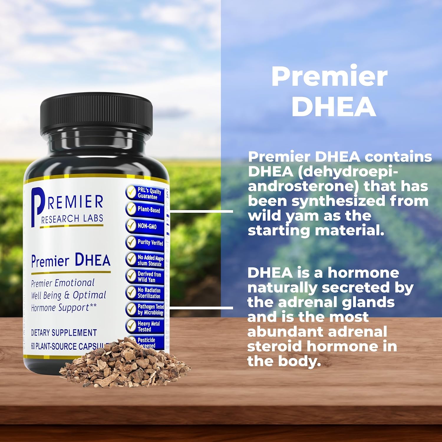 Premier DHEA 25mg - Pure DHEA Supplement - 60 Vegetarian Capsules