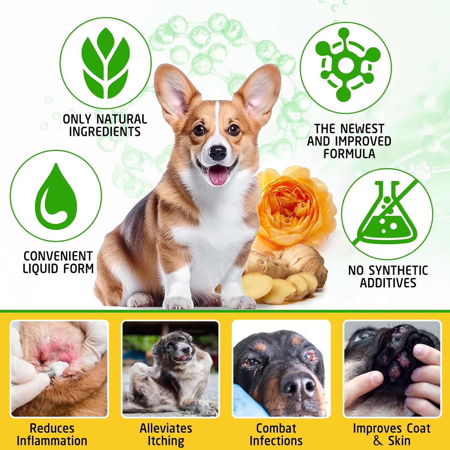 Tratamiento Natural contra la Levadura para Perros - Ayuda a Aliviar el Picor y la Inflamación - Complemento Herbal - 2 Oz
