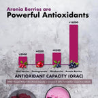 Samsara Herbs Extracto en Polvo de Baya de Aronia 20:1 (114g)