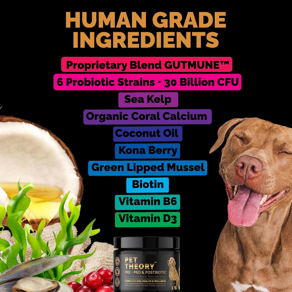 Probióticos para Perros - Combinación Pre, Pro y Postbióticos - Masticables Blandos para Salud Digestiva e Inmunidad - 100 uds