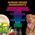 Probióticos para Perros - Combinación Pre, Pro y Postbióticos - Masticables Blandos para Salud Digestiva e Inmunidad - 100 uds