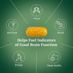 LuciPlex Brain Booster – Complemento para la Memoria, Concentración y Energía, 60 Comprimidos