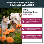 MaxBuddy Gotas para el Cuidado Urinario de Perros y Gatos - Apoyo para Riñón y Vejiga