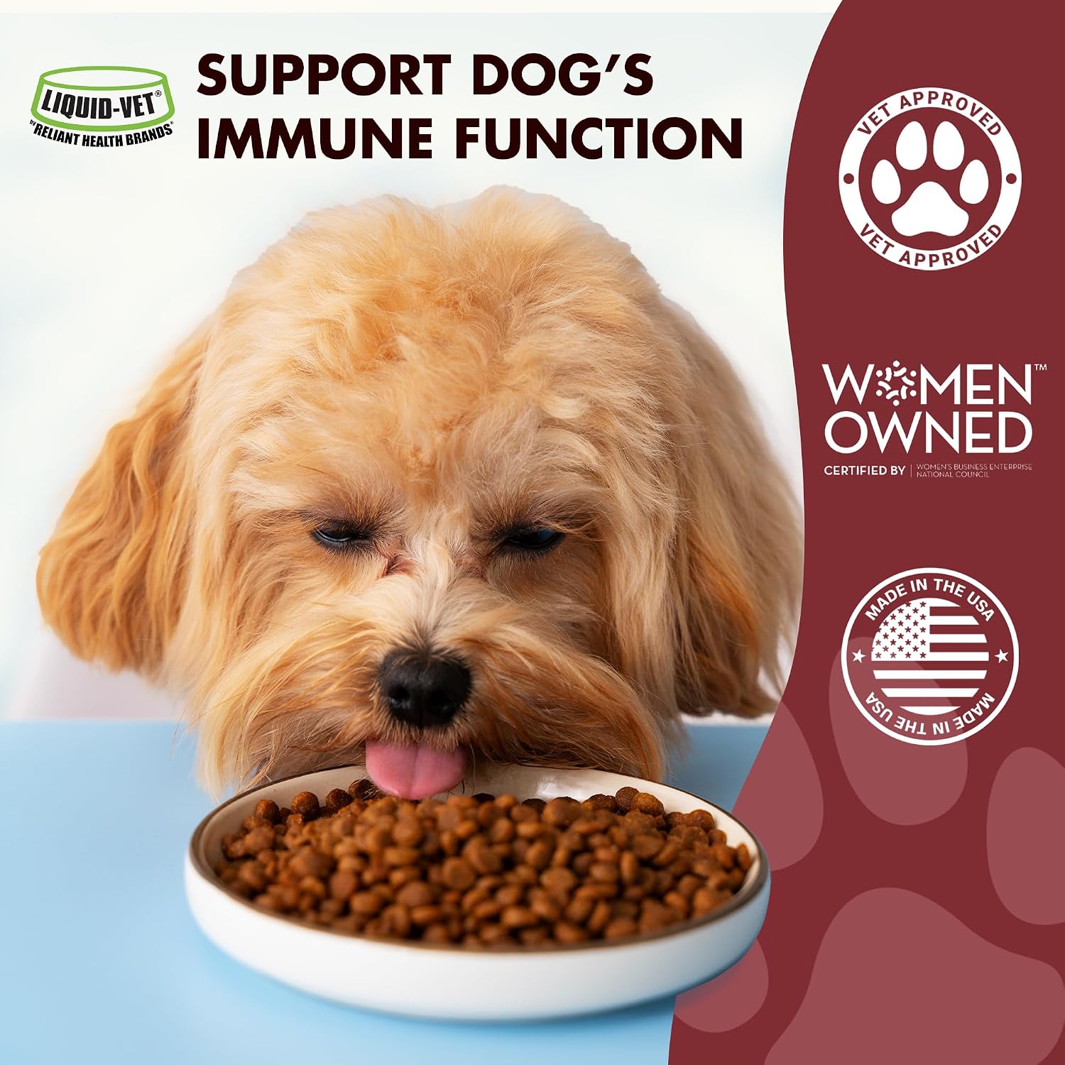 Apoyo Inmunológico para Perros – Protección Antioxidante y Salud Intestinal – Fórmula Líquida con Inulina, Beta-Glucano y Omega-3
