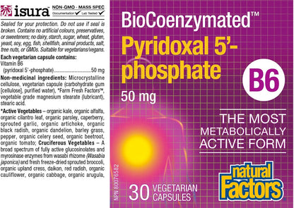 Natural Factors BioCoenzymated Piridoxal – El funcionamiento normal del sistema nervioso – Image 2