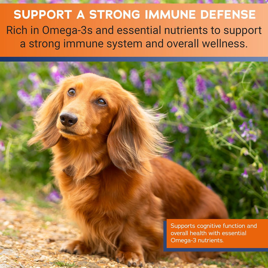 Stratford Pharmaceuticals EZ Chew Omega 3 Masticables Blandos para Perros - 60 unidades
