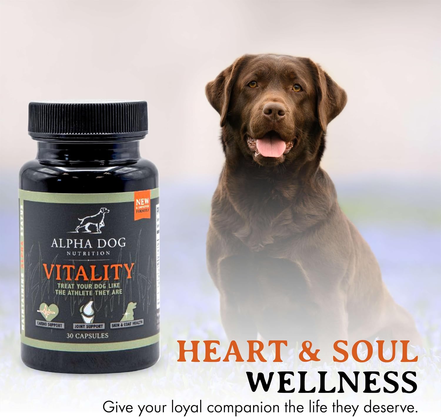 Aceite de Krill para Perros - Vitality by Alpha Dog Nutrition