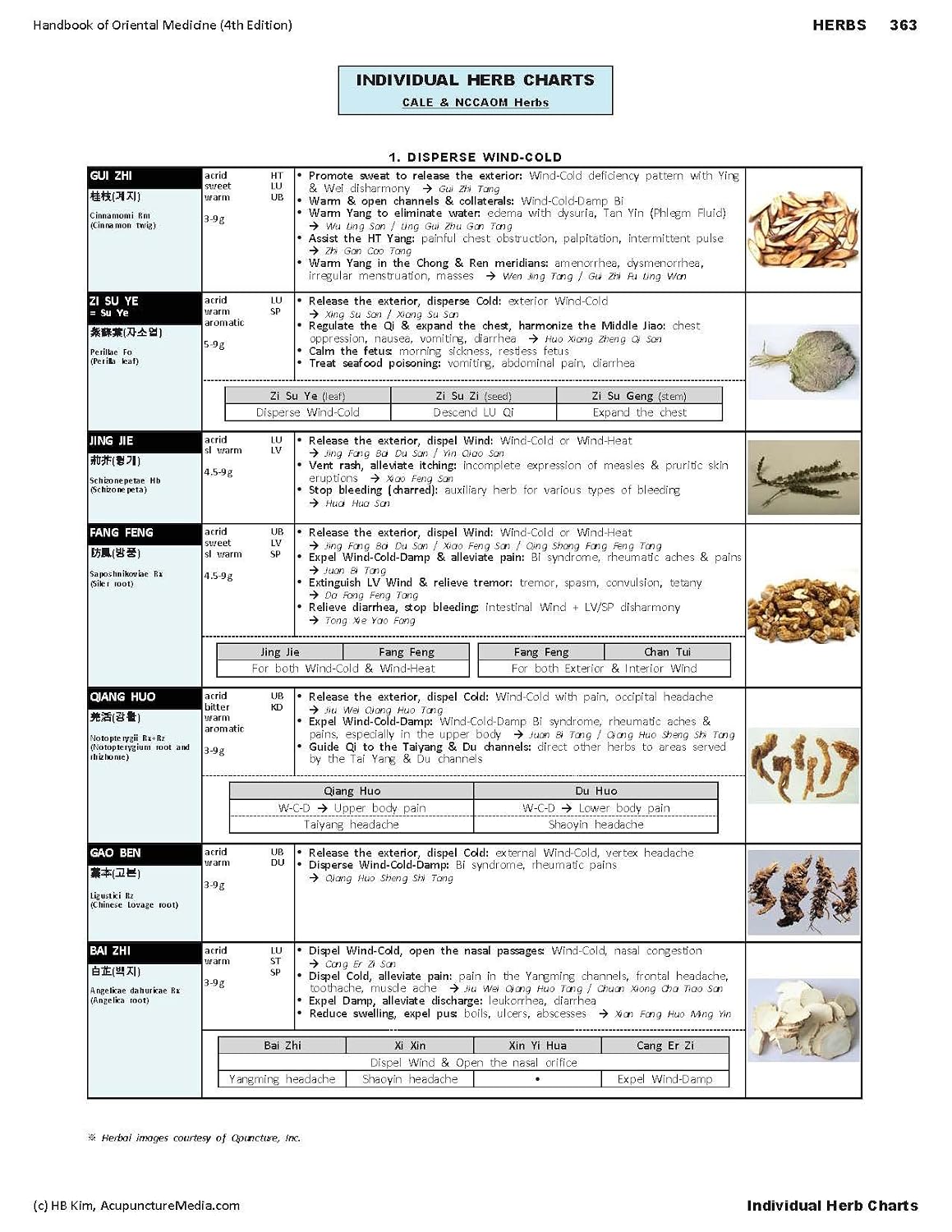 Handbook of Oriental Medicine (5th edition)