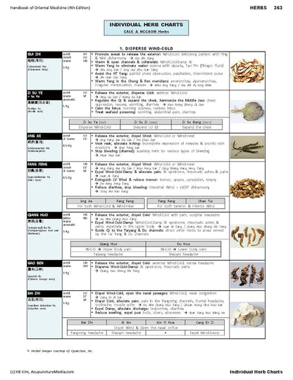 Handbook of Oriental Medicine (5th edition) – Diagnóstico: métodos de observación, auscultación, interrogatorio y – Image 7