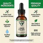 AlchePharma Folato Líquido - 667 mcg DFE (400 mcg Ácido Folínico) - 800 Dosis