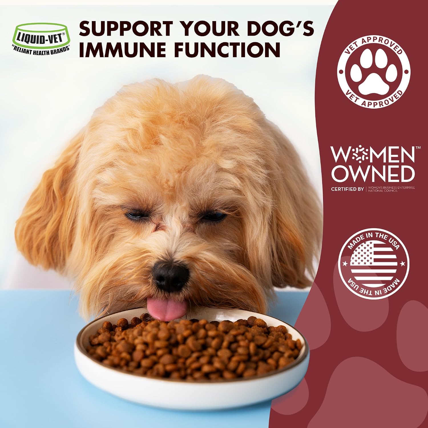 Immune Support for Dogs – Protección Antioxidante y Salud Intestinal – Con Inulina, Beta-Glucano, Omega-3 y Más
