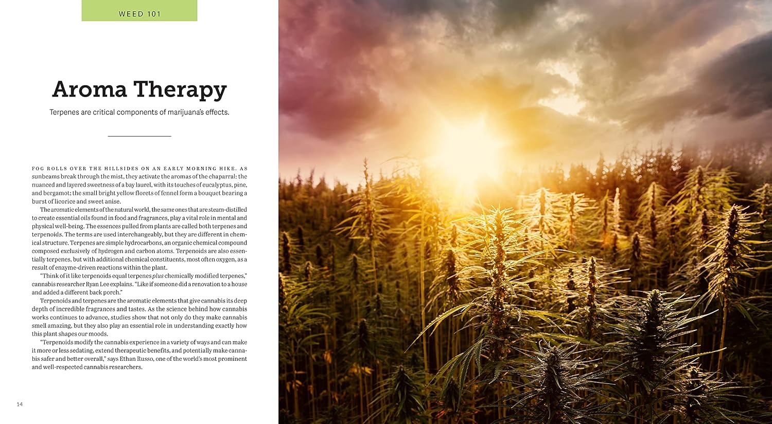Weed: A Connoisseur's Guide to Cannabis