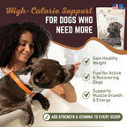 All American Canine Ganador de Peso para Perros - Suplemento de Alto Contenido Calórico y Proteína en Polvo para Aumento de Peso Rápido, Masa y Recuperación - Estimulante del Apetito - 60 Dosis