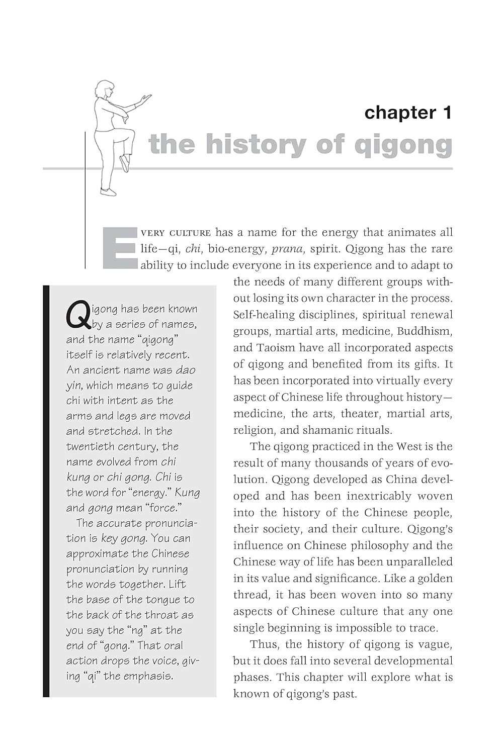 Qigong Basics: Posturas y Rutinas Básicas para la Salud y Relajación (Tuttle Specials)